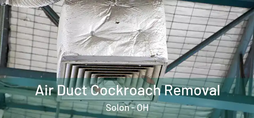  Air Duct Cockroach Removal Solon - OH