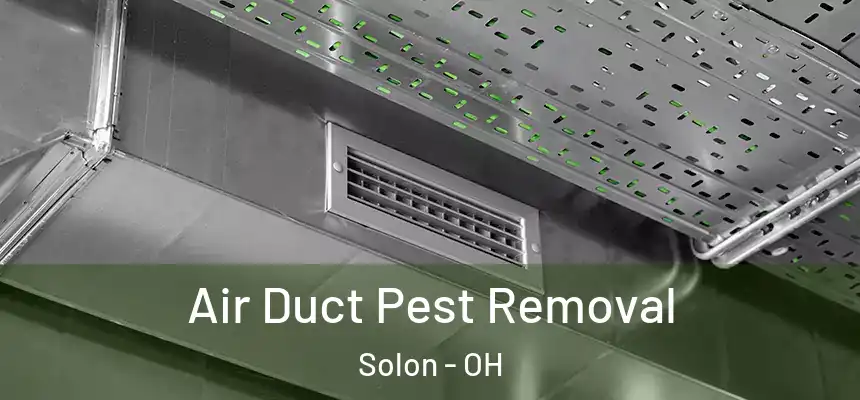 Air Duct Pest Removal Solon - OH