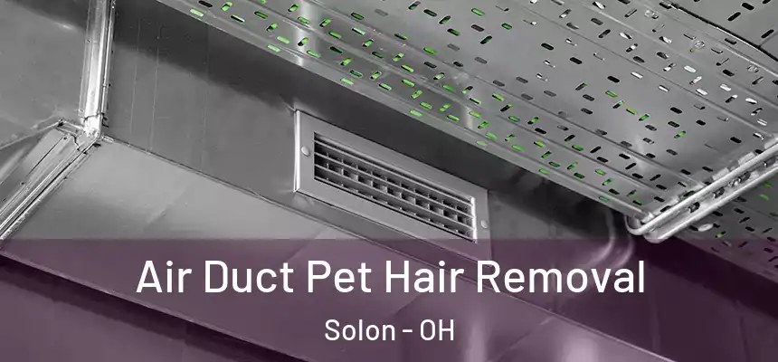  Air Duct Pet Hair Removal Solon - OH
