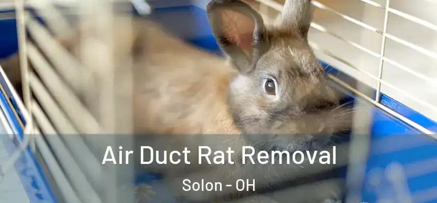 Air Duct Rat Removal Solon - OH