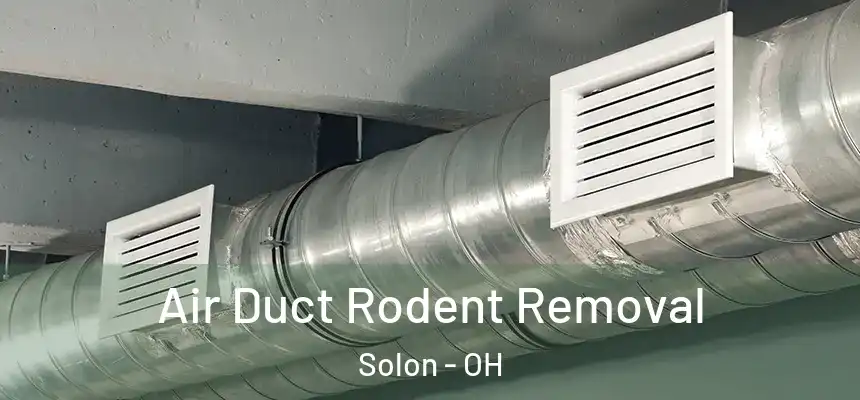  Air Duct Rodent Removal Solon - OH