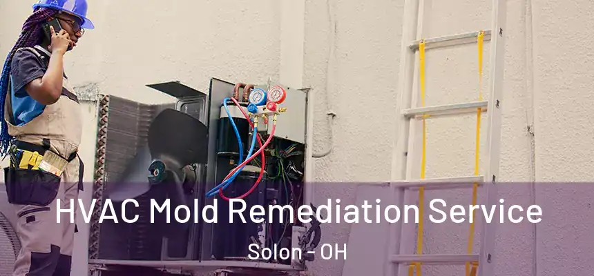  HVAC Mold Remediation Service Solon - OH