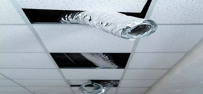 Affordable HVAC Sanitizing After Pest Removal in Solon