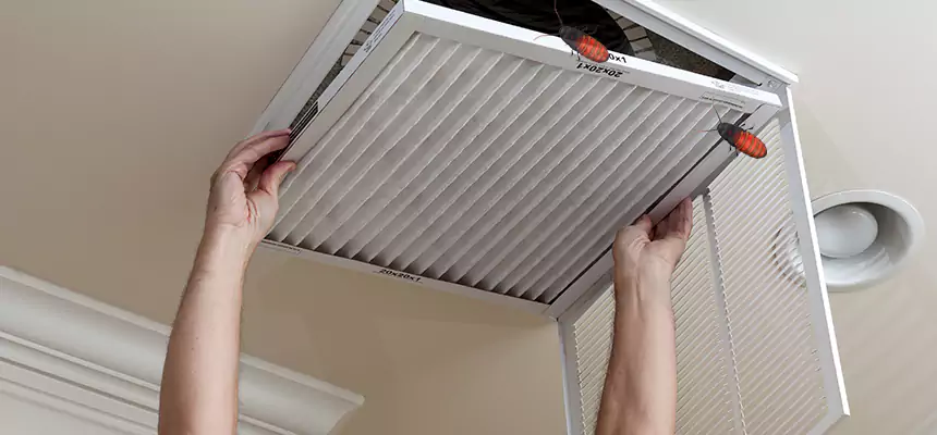 Our Insect Removal from Air Ducts Services in Solon, OH