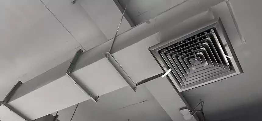 Our Rodent Droppings In Vents Services in Solon, OH