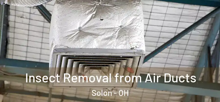  Insect Removal from Air Ducts Solon - OH