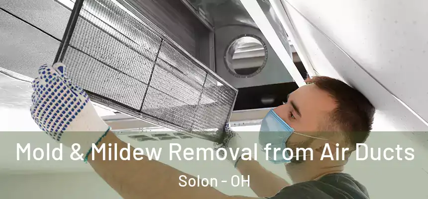 Mold & Mildew Removal from Air Ducts Solon - OH