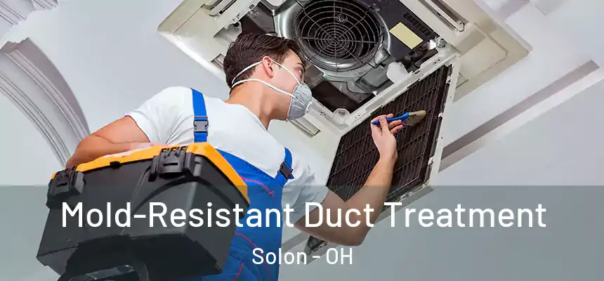  Mold-Resistant Duct Treatment Solon - OH