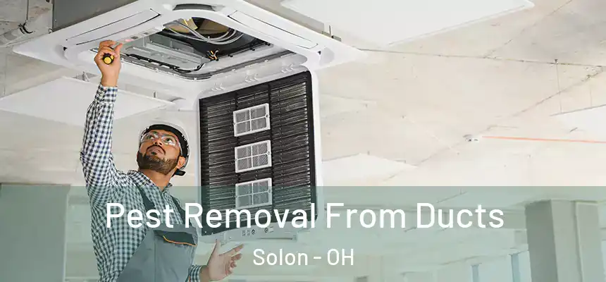  Pest Removal From Ducts Solon - OH