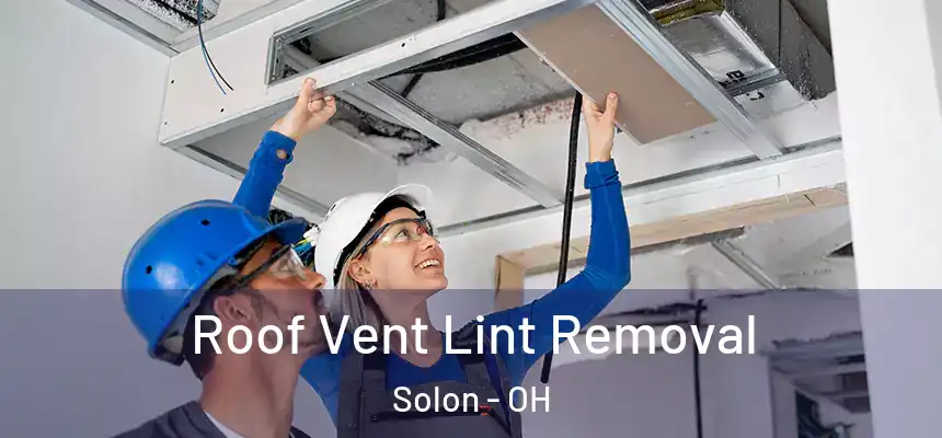 Roof Vent Lint Removal Solon - OH