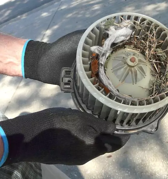 About Air Duct Mice Removal in Solon, OH