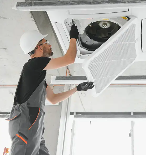 About Air Duct Rodent Removal in Solon, OH