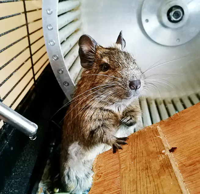 Why Homeowners & Businesses Trust Us Solon, OH?