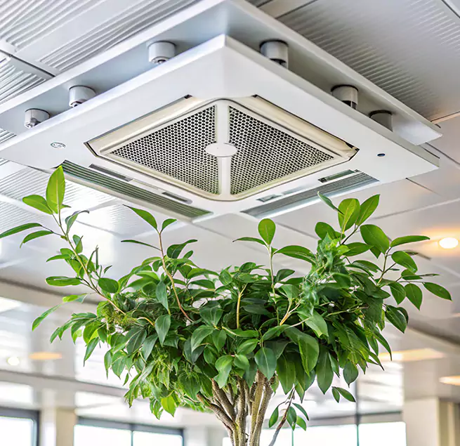 Why Homeowners & Businesses Trust Us in Solon, OH